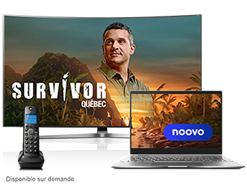 Disponible Sur demande